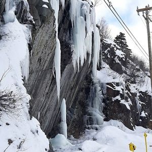 Meet your Posher, Carol